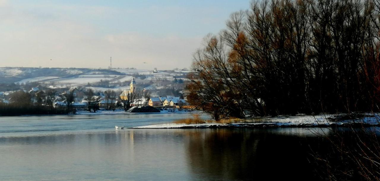 فيلا Danube Fairy Futog المظهر الخارجي الصورة