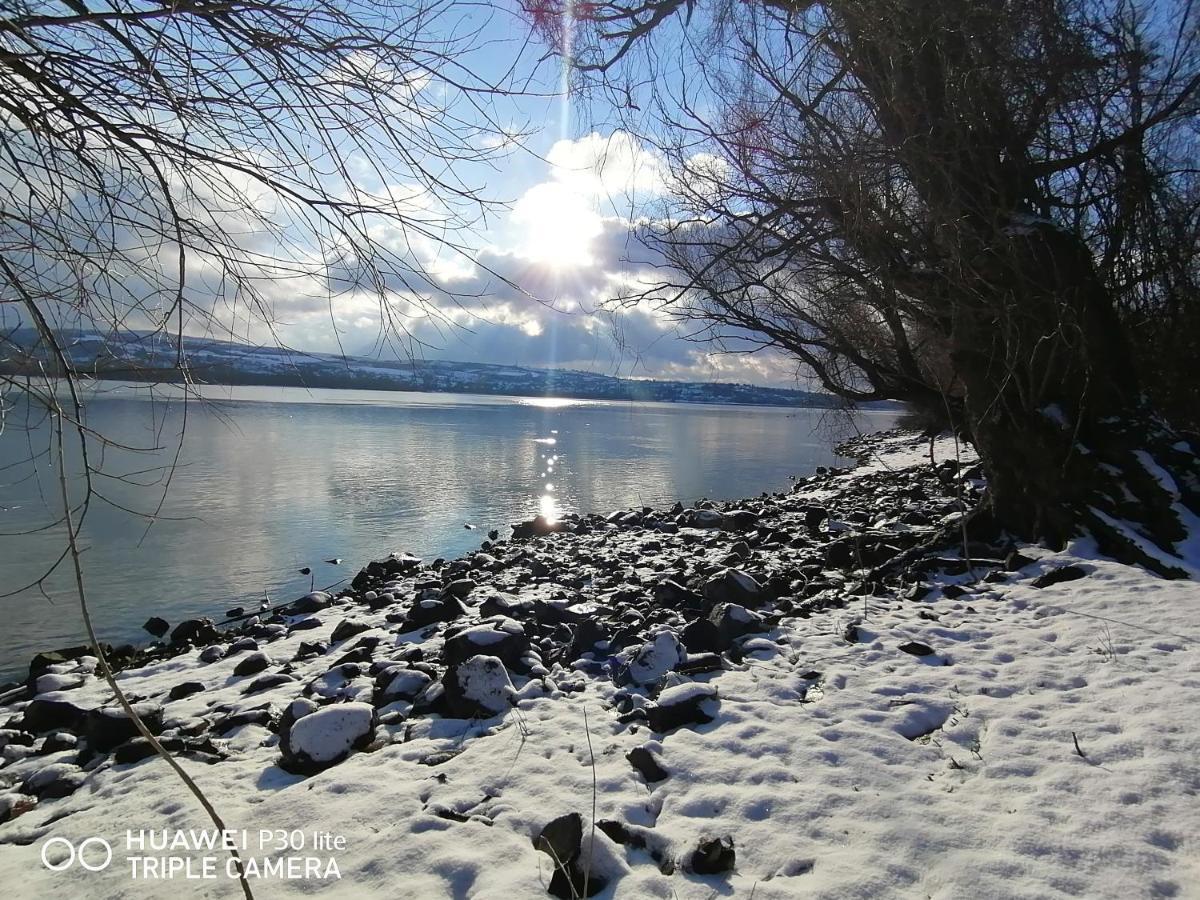 فيلا Danube Fairy Futog المظهر الخارجي الصورة
