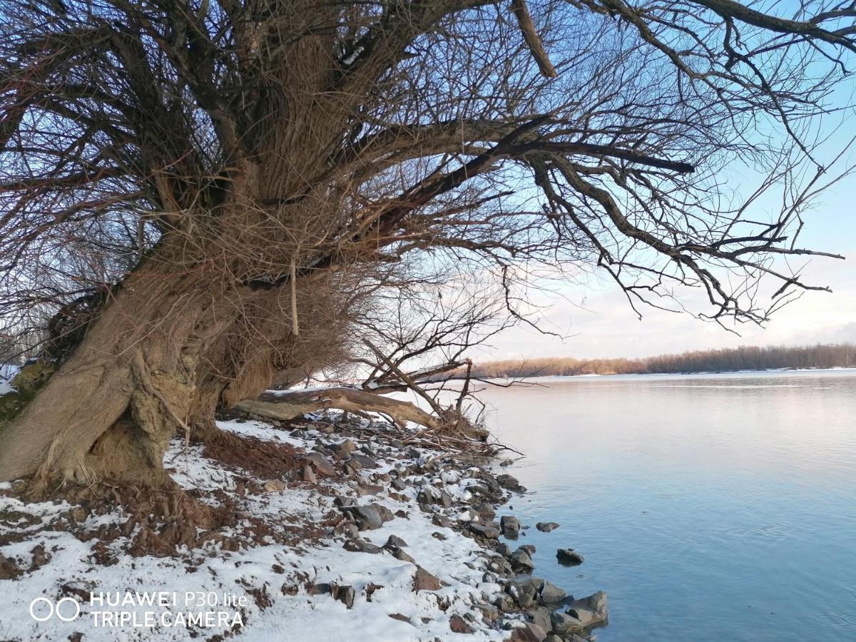 فيلا Danube Fairy Futog المظهر الخارجي الصورة