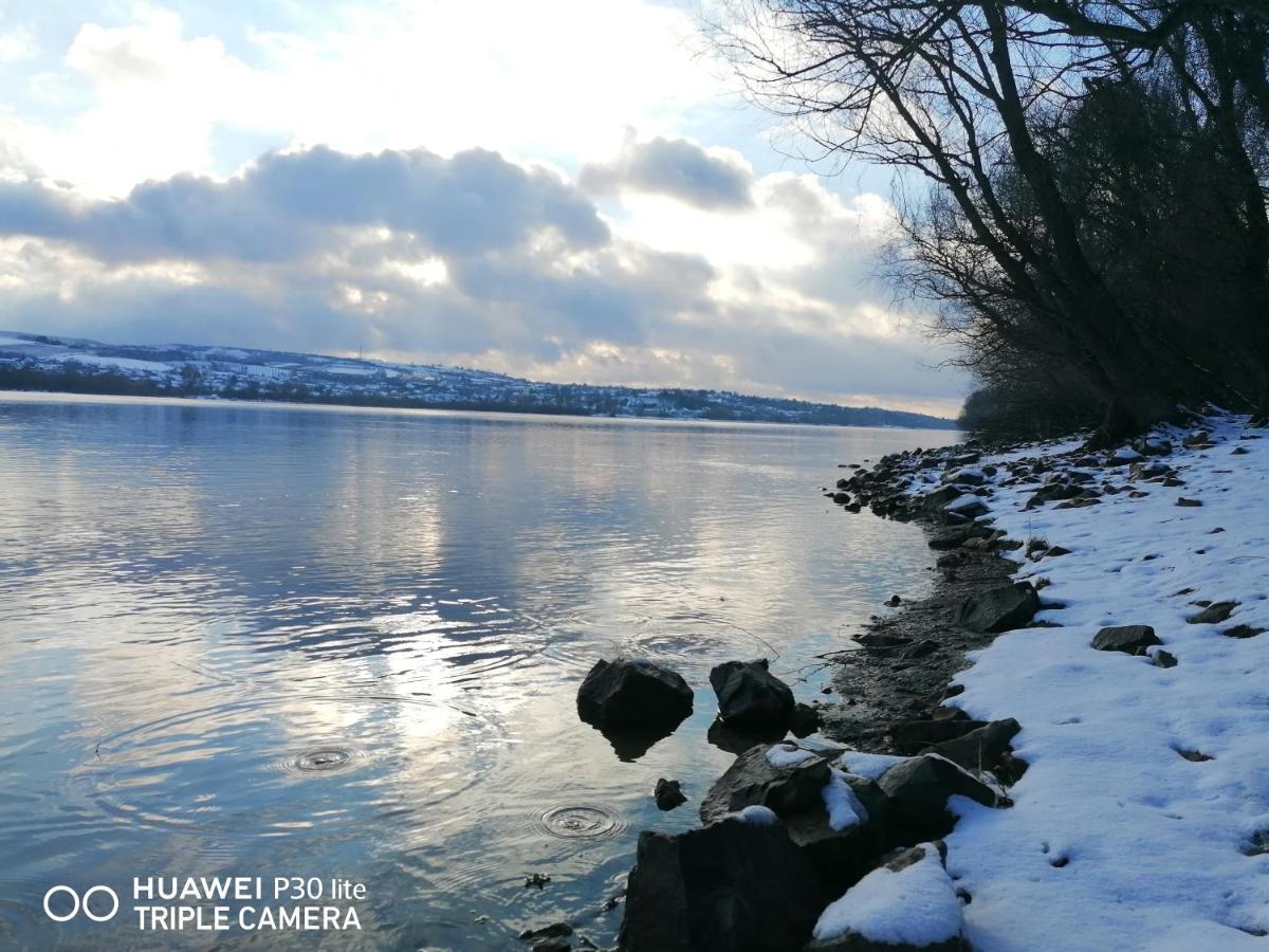 فيلا Danube Fairy Futog المظهر الخارجي الصورة