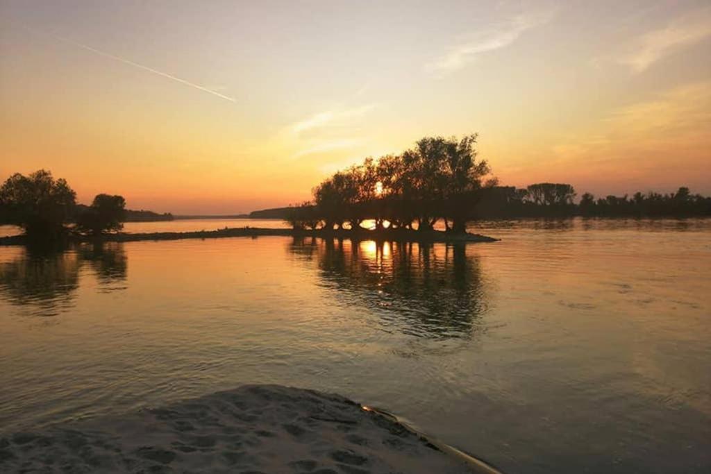 فيلا Danube Fairy Futog المظهر الخارجي الصورة